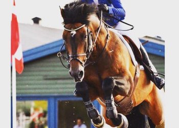 siril_soensteby_og_giga_star