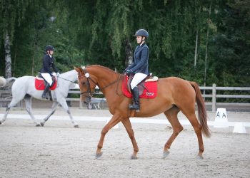 siv_volden_ryen_mathilde