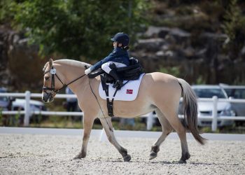 sno_birgitte_reitan_k5w3012