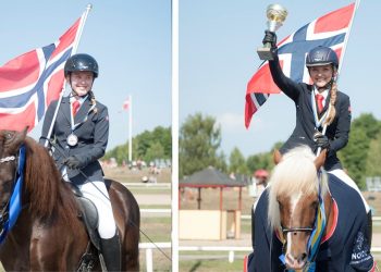 soelv-og-gull-7000469