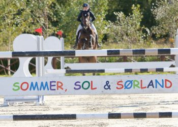sommer_sol_og_soerland-1