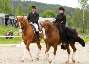 sommershow_1