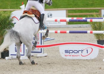 sprang_stemning-3191