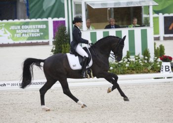 Alltech FEI World Equestrian Gamesª 2014 - Normandy, France.