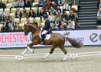 springbank_severo_jurado_lopez_helgstrand_dressage_1_herning_2018-10_9
