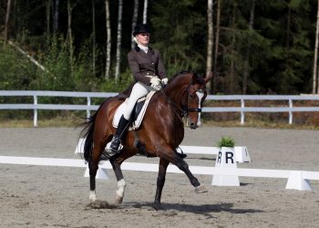stall-ks_cartier_iii_nora_ivstedal_knudsen_d9d9445