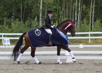 stall-ks_roosenstein_torunn_marie_jordet_d9d8574