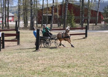 starum_linda_b_thomsen_og_linwen