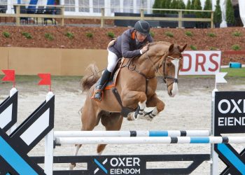 stein_endresen_happy_feets_heartbeat-3_1