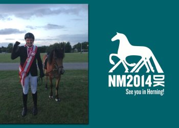 steinar_gull_nordisk