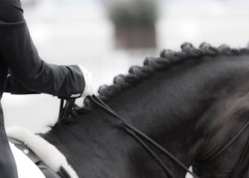 stemning_dressur_10_of_9_4