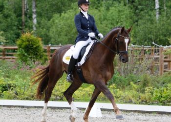 strandagergaards_deluxe_11_of_10