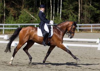 sylvester_alcor_nord_z_astrid_karen_westberg_rikheim_d9d9466