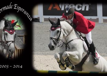 tailormade_esperanza