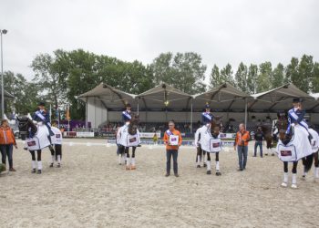 Dressuur Rotterdam 2014