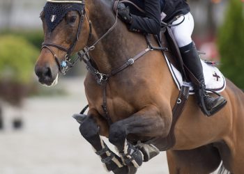 thats_why_cathrine_jerring_k5w7710