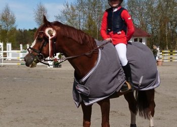 thea_gulliksen_bodyguard