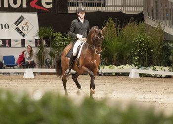 thomas-sigstenbjerggaard_angrib-firfod