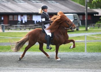 tinakalmopedersen_og_skorri