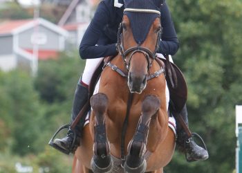 tine_schermann_reventon-5-2