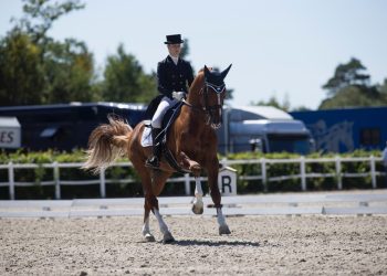 tobajo_pik_disney_k5w1651