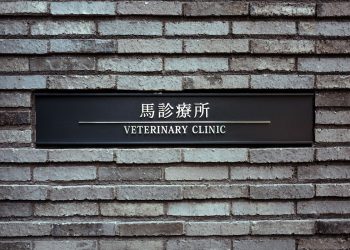 tokyo2020-veterinary_clinic-1mb
