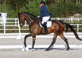 tonje_lundquist_spender-6