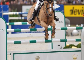 topsalexandere_csiwg12kh_0787