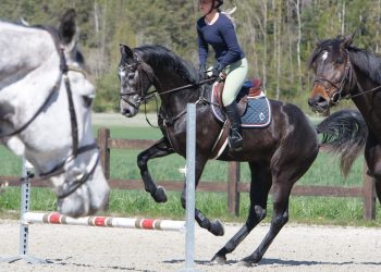 trening_ulf_storemark_137_of_204