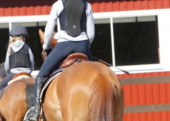 trening_ulf_storemark_7_of_204