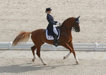 trude_k_hestengen_tobajo_pik_disney_508