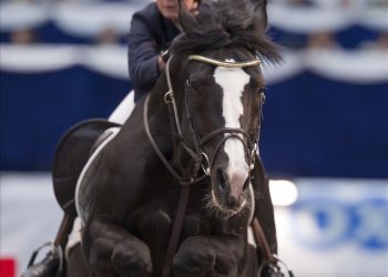 ulrich_z_malin_betten_hansen_19g4448