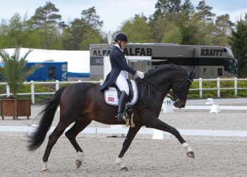 vinnere_og_louise-2_1