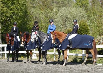 vinnerlaget_fra_sula_rideklubb_i_2_div