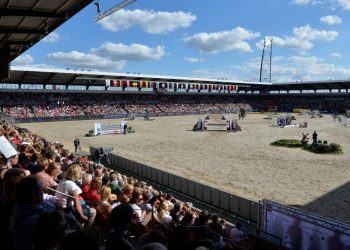 vm_herning_ridehesten_ok