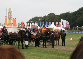 vm_i_breda