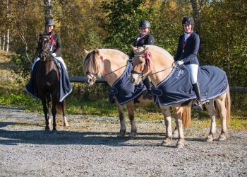 volda_km_lag_gullvinnarar_vrk_2019