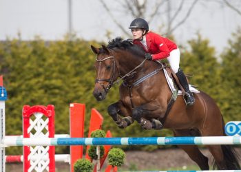 waldcrelida_therese_nymark_mikkelsen_k5w8085