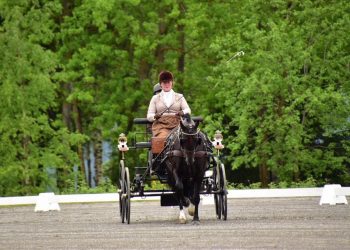 wenche_johannesen_dorthealyst_black_fanny