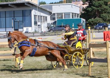 wenche_johannesen_saturn-3