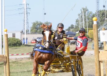 wenche_johannesen_saturn-4