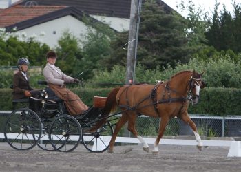 wenche_johannessen_saturn_4_of_8