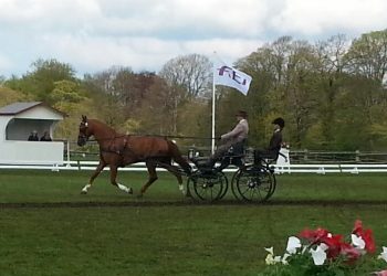 wenche_sat_lysten_15_mf