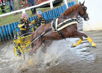 wenche_sat_vann_drebkau_1