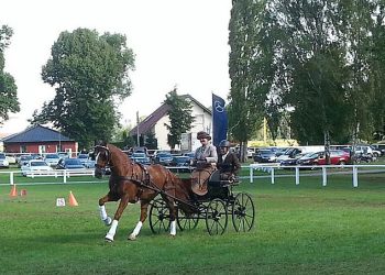 wenche_saturn_pres_dreb