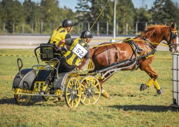 wnche_margaretha_johansen_-_maraton_vanskelig_