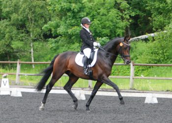 zandra_birkeland_ips_jericho_1_of_2