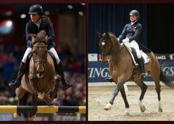 zilva_v_ravells_herkules