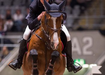 zip_john_gunvar_knutsen_74j1328